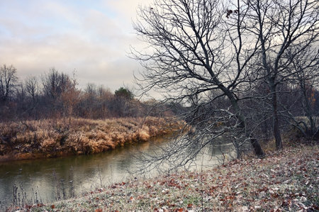 Beautiful scenery with a river and trees covered with frost in late autumn in sepia color toneの写真素材