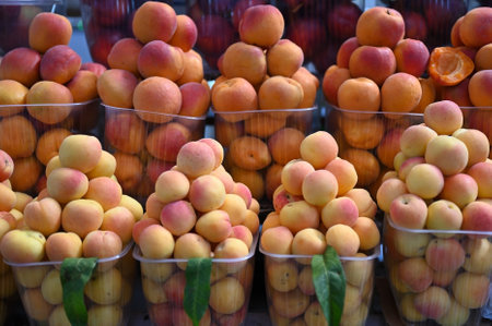 Sale of ripe apricots at the vegetable marketの写真素材