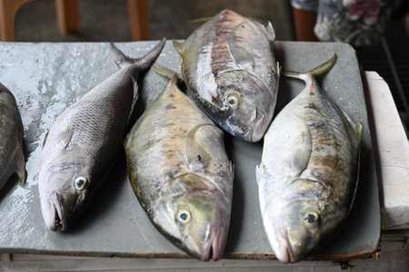 Freshly caught fish is sold at the local market in Victoria, capital of Seychellesの写真素材
