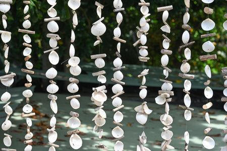 Tropical shell background, detail of the national Creole decor. Mahe Island, Seychellesの写真素材
