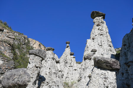 Stone mushrooms of the Akkurum tract natural rock formations in the Altai Reserve, Russia. Famous geological landmark and popular tourist attractionの写真素材
