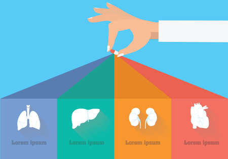 Side effect infographic. Targets of treatment conceptのイラスト素材