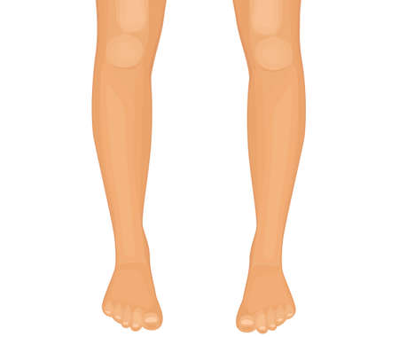 Human legs vector illustration on white backgroundのイラスト素材