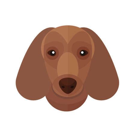 Dachshund head flat design illustrationのイラスト素材