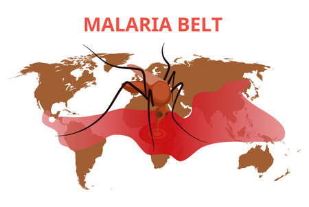 Malaria belt conceptual illustration. The mosquito is sucking blood from the blood stain on the world map.のイラスト素材
