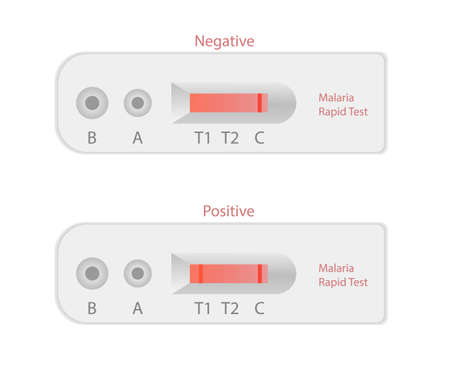 Mlaria test isolated on white. Positive and negative rapid malaria stripのイラスト素材