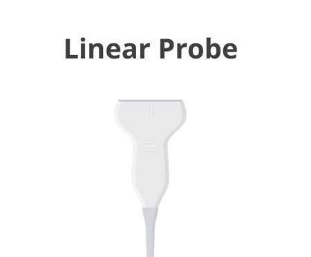Linear ultrasound transducer isolated on white. Vector illustration of the linear sonographic probeのイラスト素材