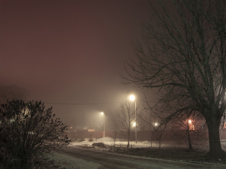 Night landscape. In winter, lanterns burn in the street, fog creates a mystical appearanceの写真素材