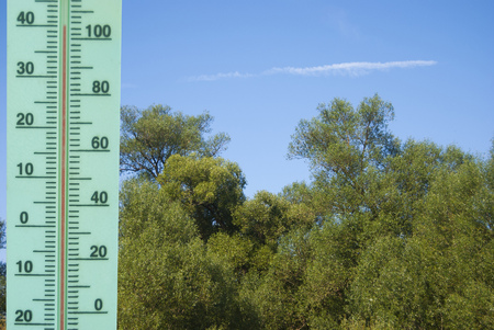 A thermometer with a temperature of +40 degrees Celsius on a landscape with trees. Heat.の写真素材