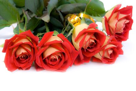 Bouquet of red roses.  Isolated on white background. の写真素材
