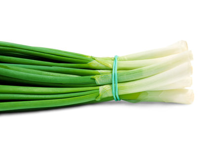 Bunch green onions. Isolated on white background.の写真素材