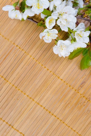 A branch of the cherry blossoms on a bamboo napkinの写真素材