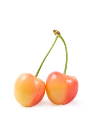 Two cherry fruit on the tail isolated on whiteの写真素材