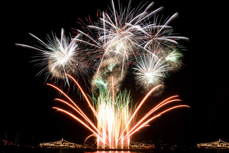 Beautiful fireworks in the night sky 
