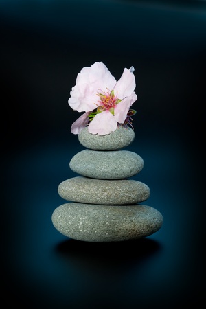 Stone Therapy background. The pyramid of pebbles with a flower of almond on topの写真素材