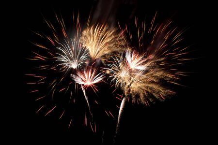 A beautiful fireworks in the night sky の写真素材