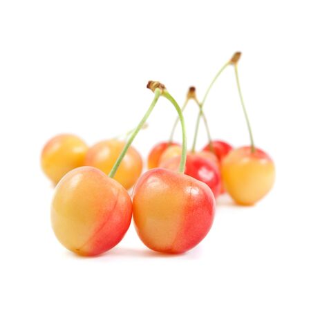 Cherries. Isolated on a white background.の写真素材