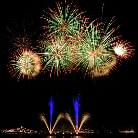 Beautiful fireworks in the night sky 
