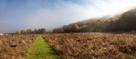 Autumn Landscape. The road into a field and woods in the distanceの写真素材