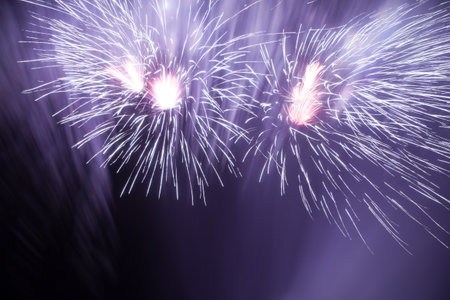 Beautiful fireworks in the night sky 