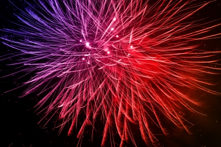A beautiful firework in the night skyの写真素材
