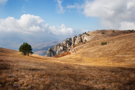 Autumn landscape. Field with dry grass under a blue sky with cloudsの写真素材