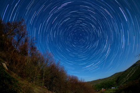 Night landscape, the trees on the background of night sky with moving stars