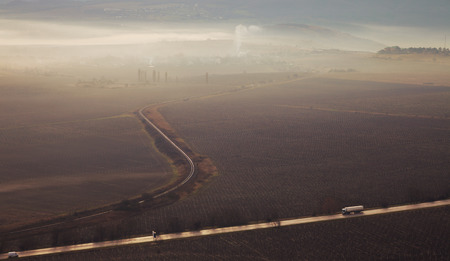 Fields of vineyards In the morning mistの写真素材
