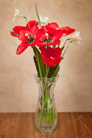 Bouquet of red tulips and daffodils in a vaseの写真素材