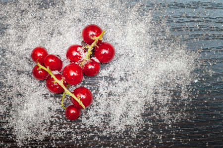 Twigs with red currant berries sprinkled with sugarの写真素材