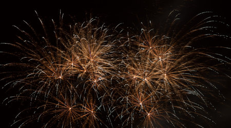 Colorful fireworks in the night sky