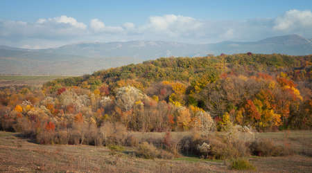Autumn landscape. Colorful autumn forestの写真素材