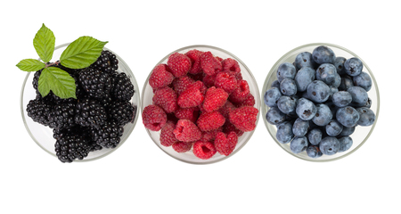 Berries. Isolated on white backgroundの写真素材