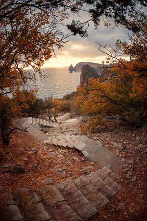 Landscape. Stairway to the sea among the autumn treesの写真素材