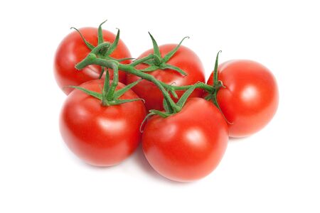 Fresh red ripe tomatoes on the vine. Isolated on white Backgroundの写真素材