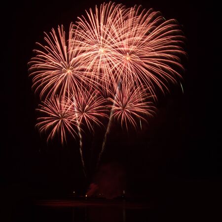 Firework in the night skyの写真素材