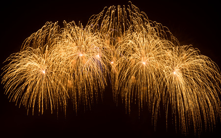 Outbreaks of fireworks in the night skyの写真素材