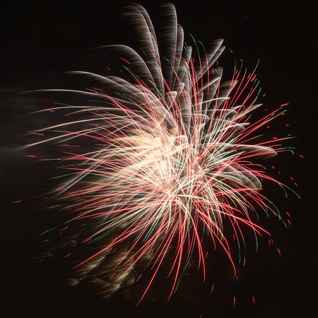 Colorful red fireworks in the night skyの写真素材