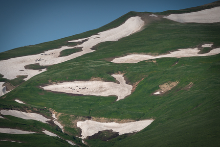 High mountain pasture with green grass and glaciersの写真素材