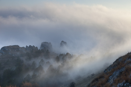 Rocks and trees in the fogの写真素材
