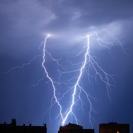 Branched lightning in the night sky