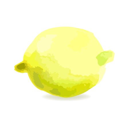 Lemon. Fruit yellow lemon isolated on a white background. Vector watercolor techniqueのイラスト素材