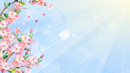Cherry blossoms, spring background. Sakura. Vector watercolor techniqueのイラスト素材