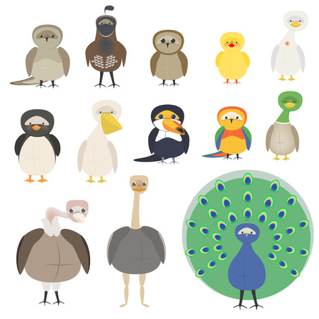 A set of different birds. A parrot, a penguin, a sparrow, an owl, a pelican, a toucan, a peacock.のイラスト素材