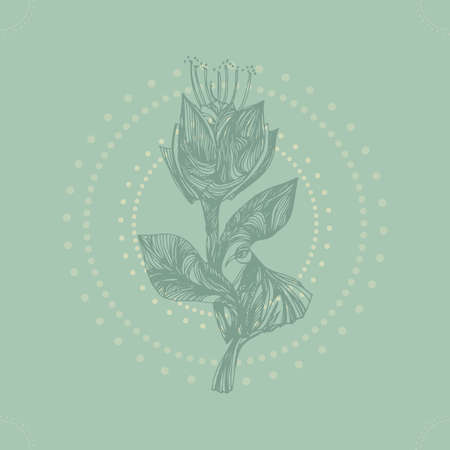 Abstract flower and bird on light green backgroundのイラスト素材