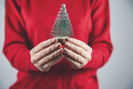 woman hand small Christmas tree on gray backgroundの写真素材
