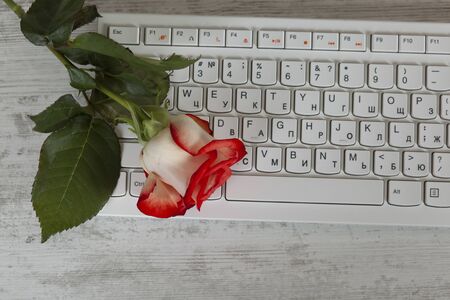 flower on computer keybpard on the tableの写真素材