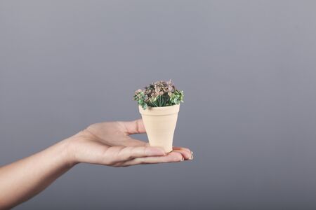 woman hand artificial flower on grey backgroundの写真素材