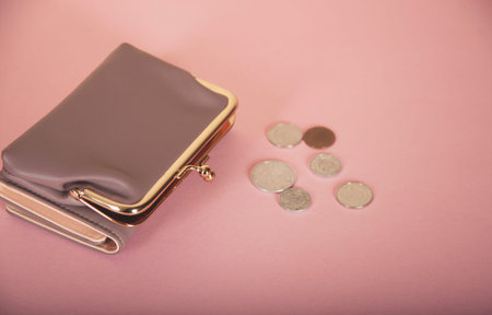 coins with wallet on the wooden table