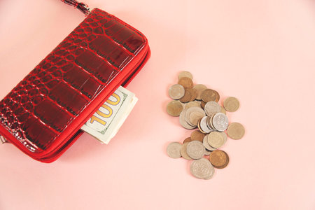 coins with wallet on the pink tableの写真素材
